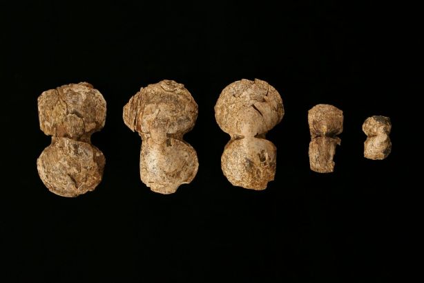 Ελεφαντοστέινα ομοιώματα οκτώσχημων ασπίδων. Διακοσμητικά στοιχεία προσαρμοσμένα σε έπιπλα ή άλλα αντικείμενα.Άνθεια (θολωτός τάφος).16ος - 15ος αι. π.Χ.